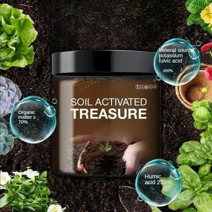 TreasureGrow Premium Soil Activator | Deep Root Nutrition (200g × 2)